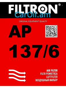 Filtron AP 137/6